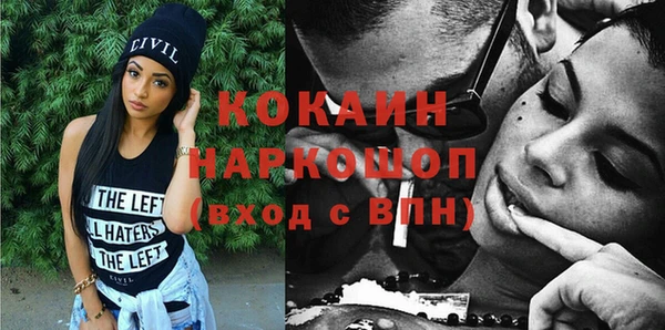 бошки Алексин