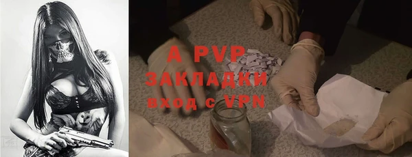 гидра Алексеевка