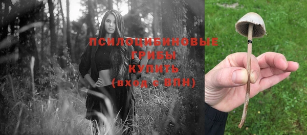бошки Алексин