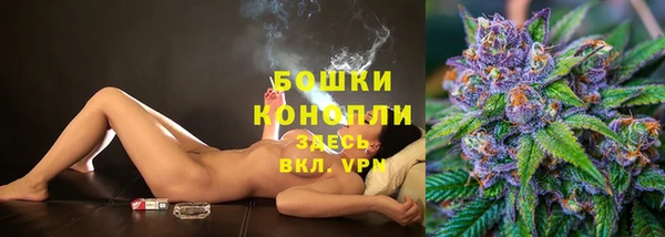 мдпв Горно-Алтайск